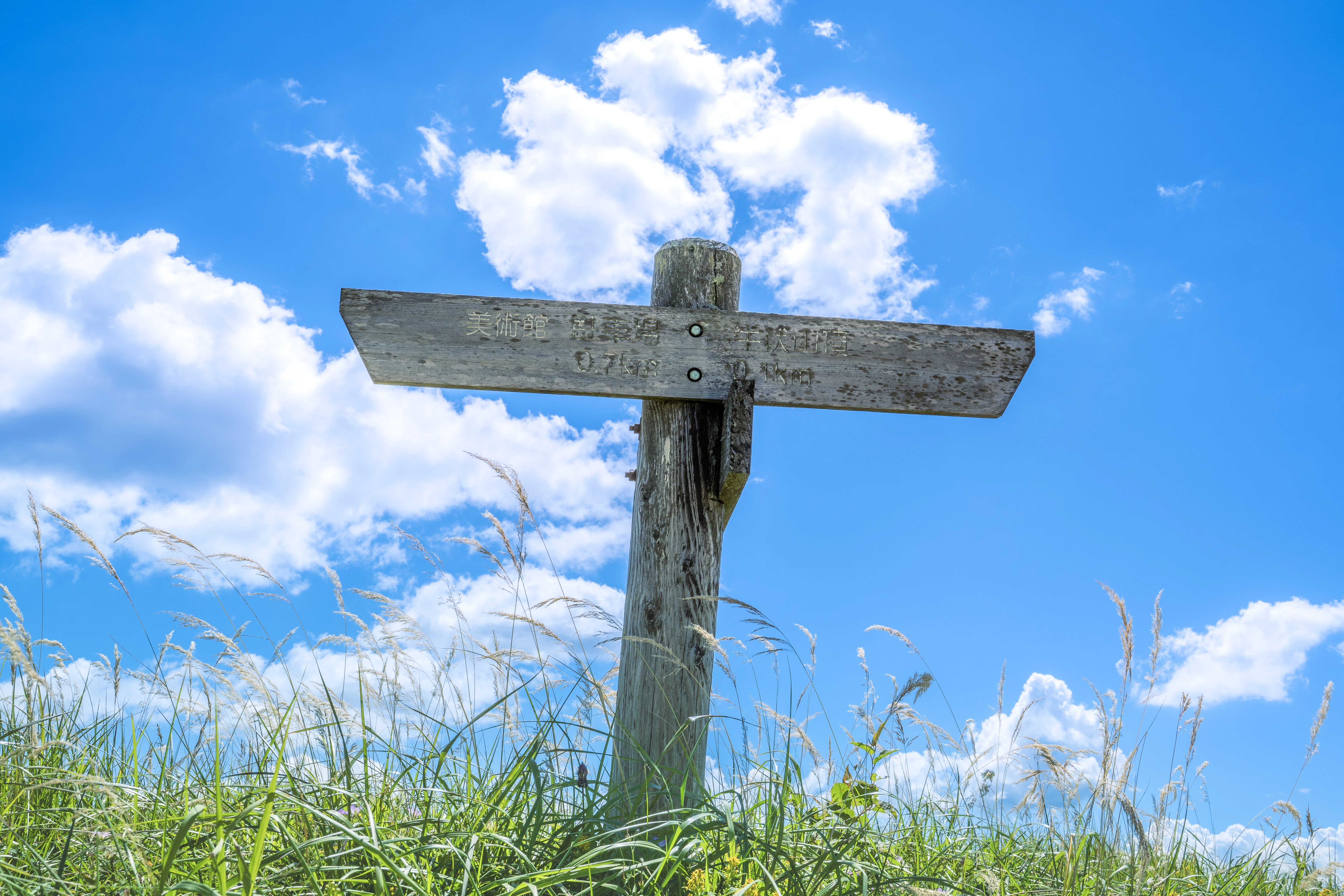 Wooden Signpost Under a Vibrant Blue Summer Sky
